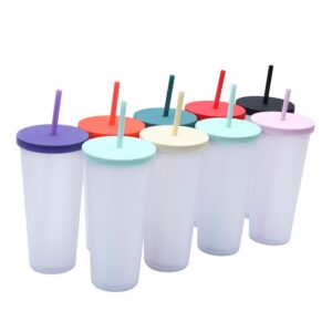 24Oz Frosted Double-Layer Straw Cup Item No#20512
