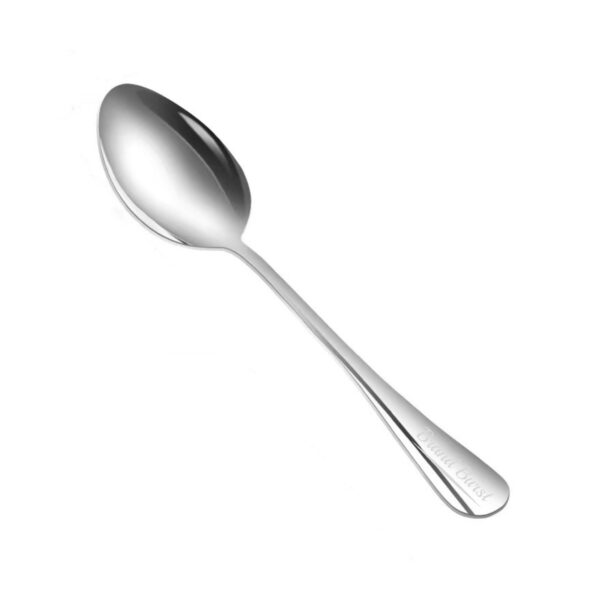 Basics Stainless Steel Dinner Spoon Item No#21347