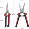Gardening Pruning Scissors For Fruit Harvesting Item No#20245 - Image 2