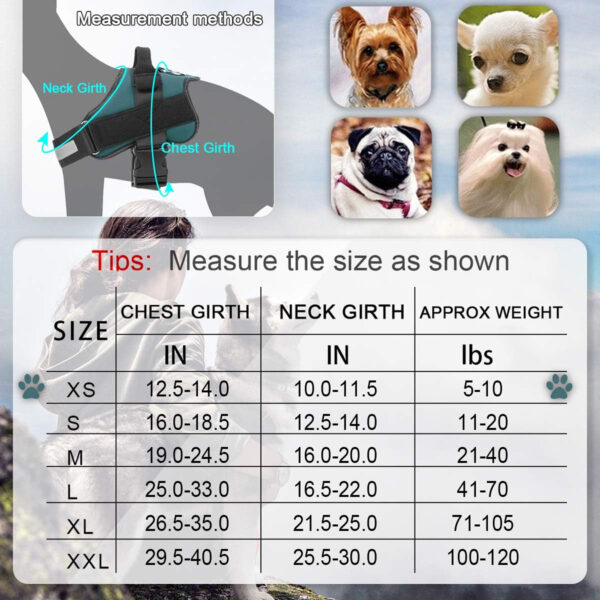 Pet Harness With Handle For Outdoor Walking Item No#20001 - Image 3