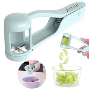 Grape Cutter Item No#22808